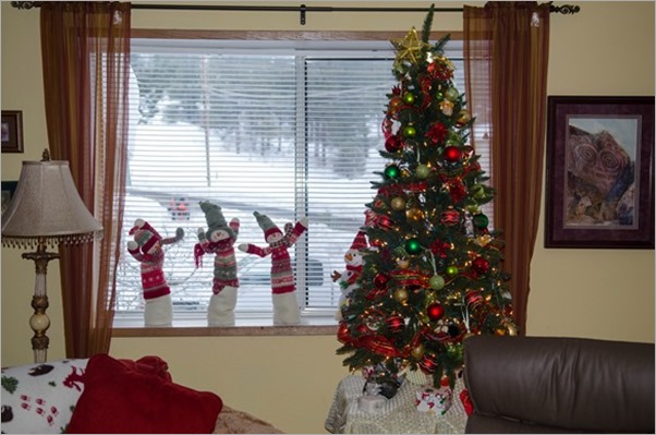 Daytime-Christmas-on-Old-Fort-Road-2