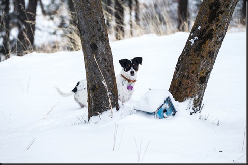 First snow at the Apartments (7 of 17)