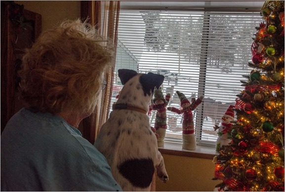 Horses in the yard (4 of 7)_thumb[1]