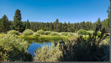 07-18-2020 Collier State Park-18